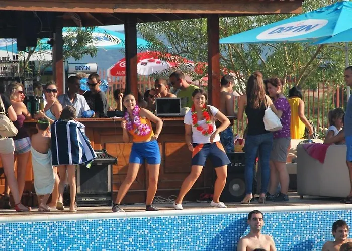 Harmony Hills Tomovi C12 *