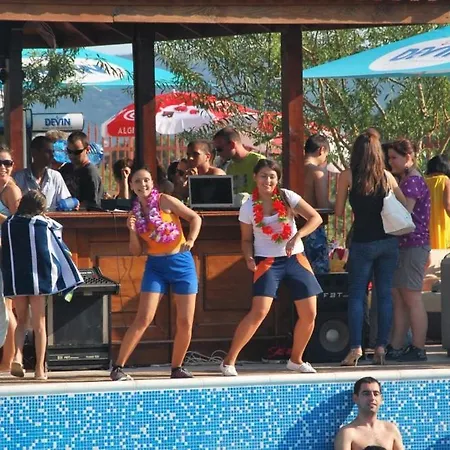 Harmony Hills Tomovi C12 *